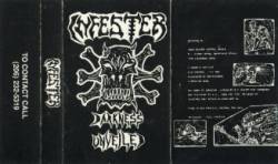 Infester (USA-1) : Darkness Unveiled (Demo)